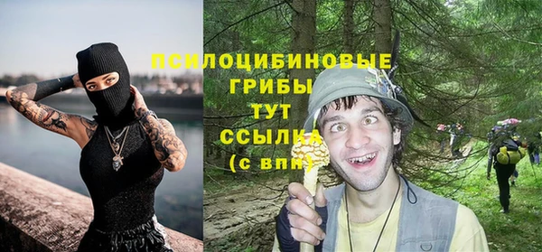 дживик Балахна