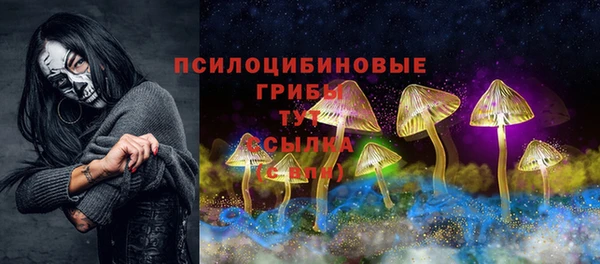 дживик Балахна