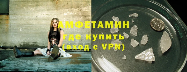 шишки Беломорск