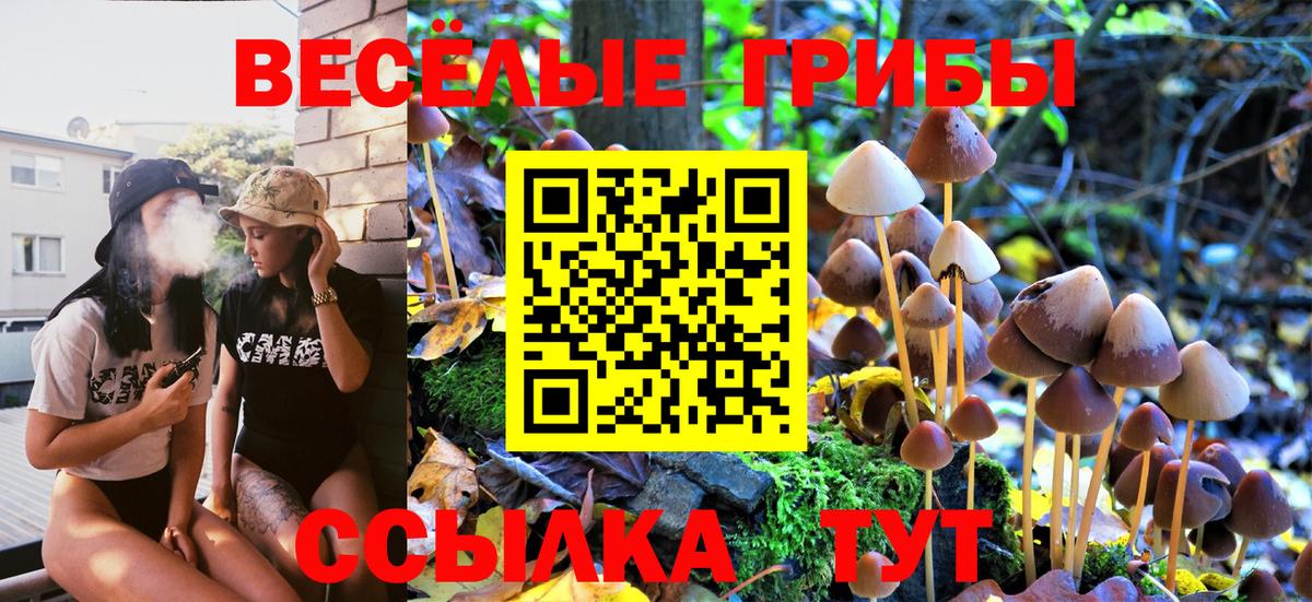 Свободный  Псилоцибиновые грибы мицелий  как найти   Вход с VPN 
