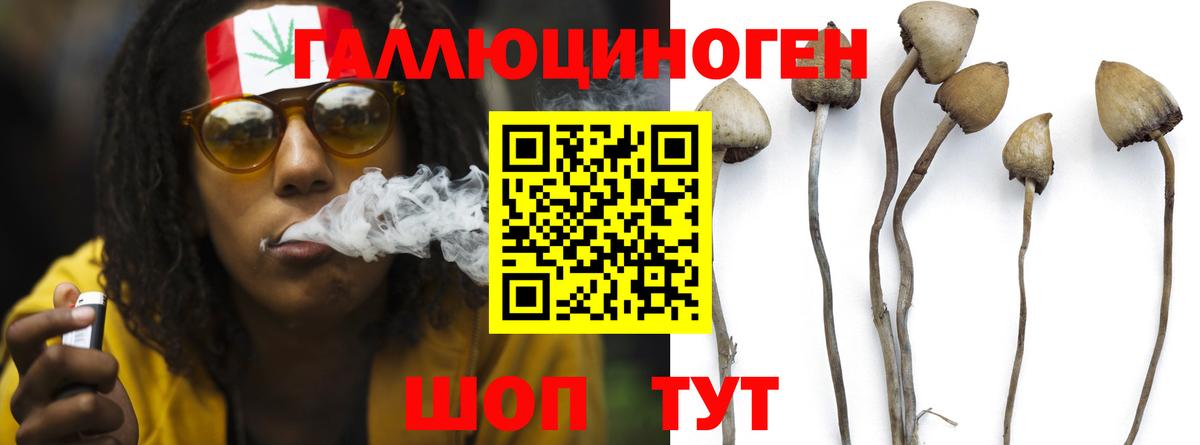 Псилоцибиновые грибы прущие грибы Свободный